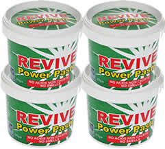 4 Pack  Revive Power Paste